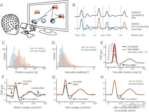 思影科技眼動數據處理服務與軟件開發，賦能精準視覺洞察