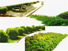 重慶園林公司 匠心獨運，構筑山城綠色生態工程
